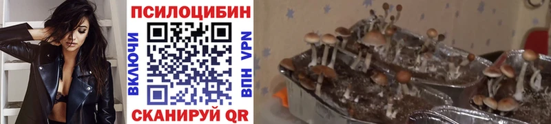 Галлюциногенные грибы ЛСД  Южноуральск 